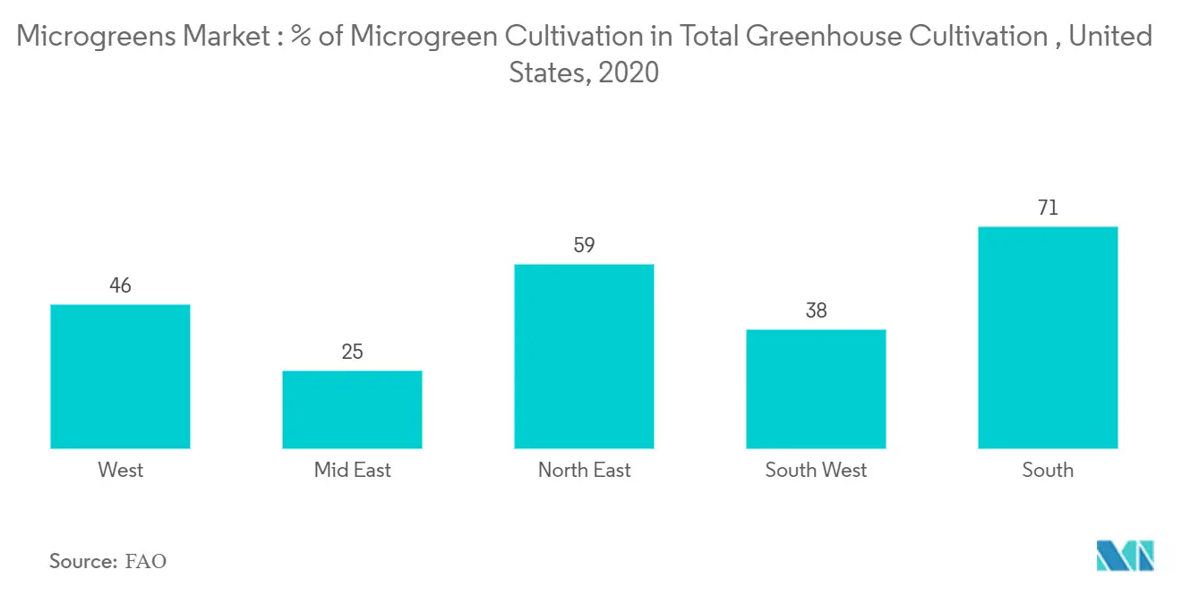 Microgreens Market1