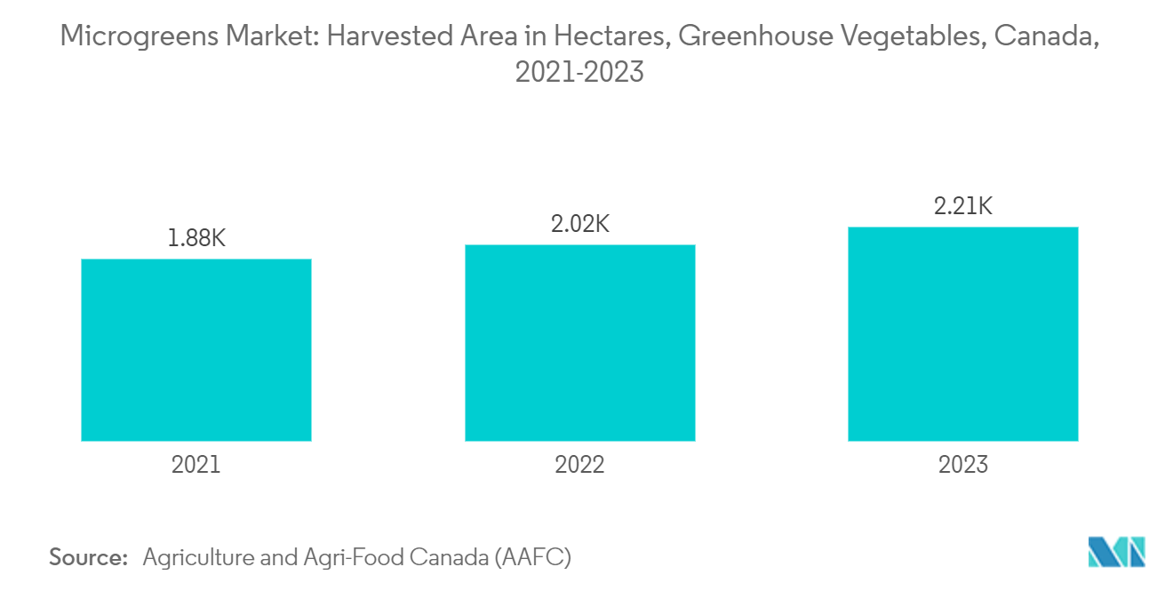 Microgreens Market: Harvested Area in Hectares, Greenhouse Vegetables, Canada, 2021-2023