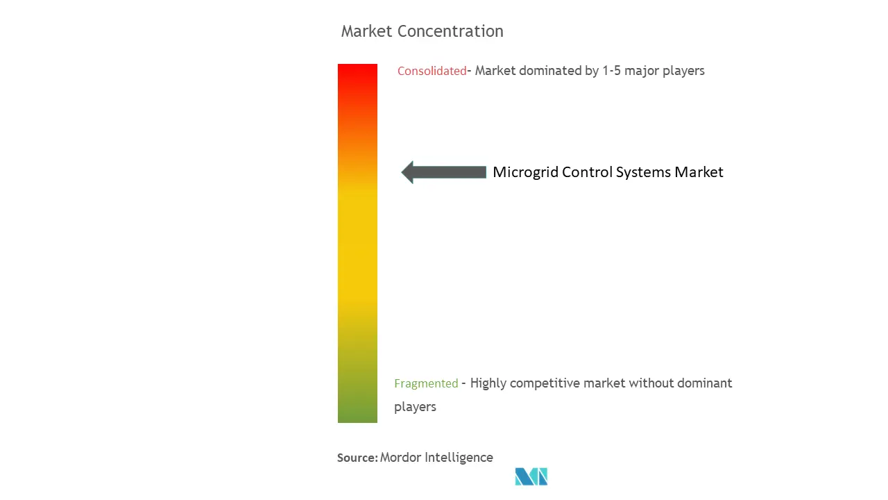 マイクログリッド制御システム市場の集中