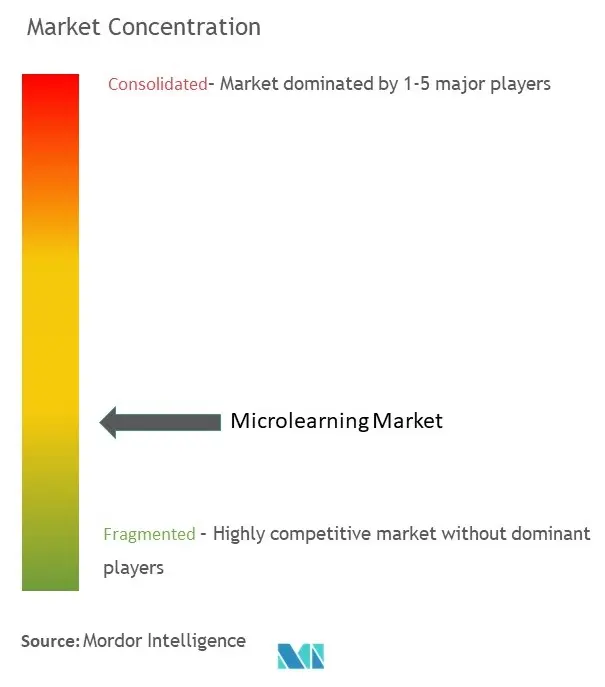 Microlearning Market Concentration