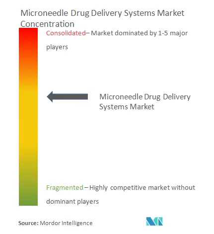 Microneedle Drug Delivery Market - Market Concentration Image.PNG