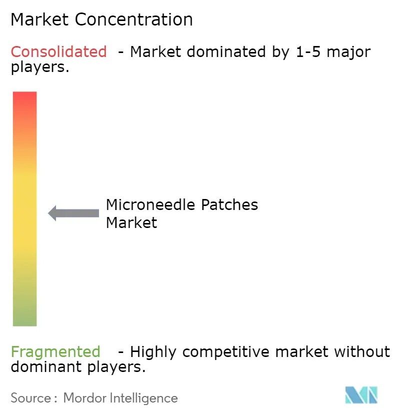 Microneedle Patches Market Concentration