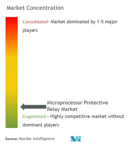 Microprocessor Protective Relay Market Concentration