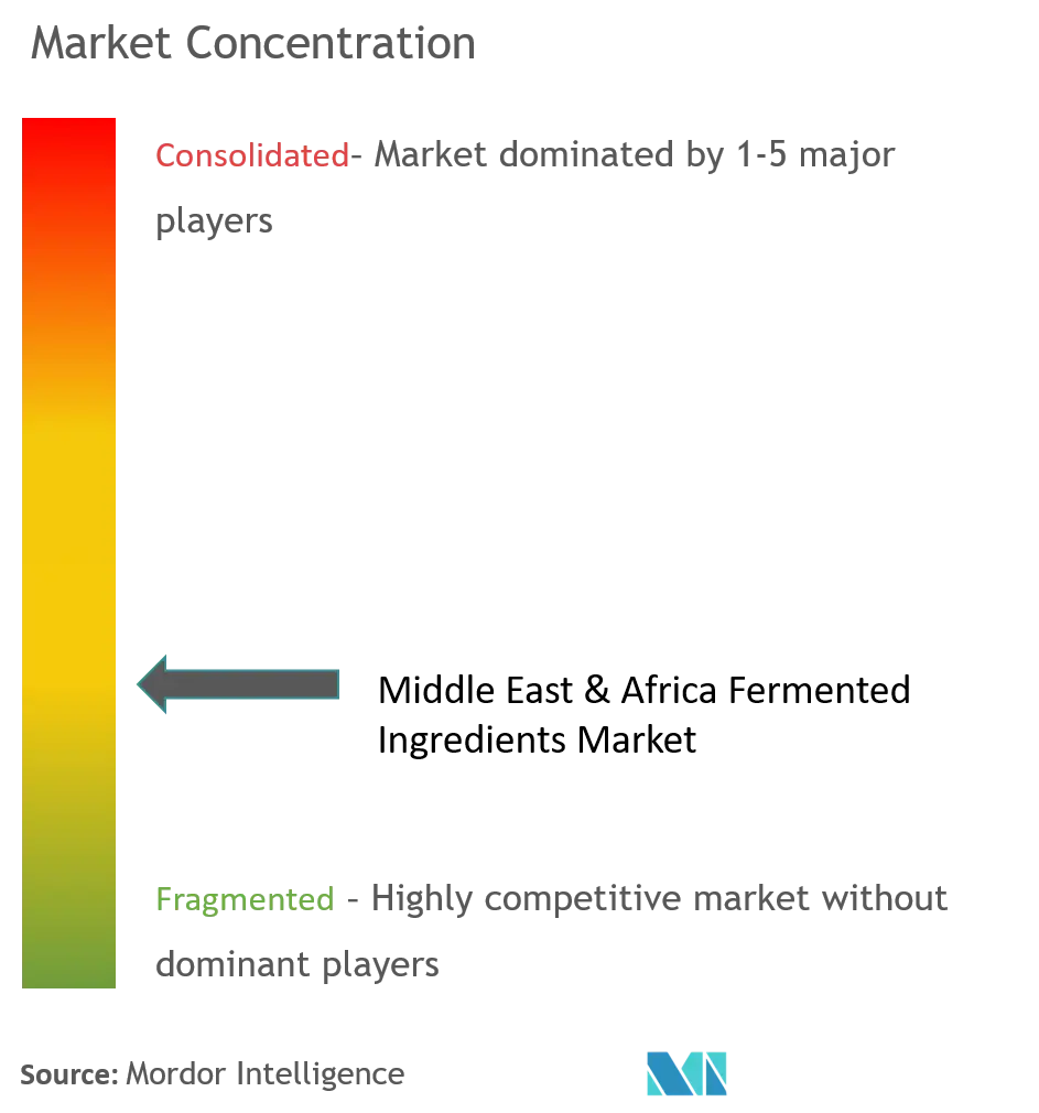 Middle East & Africa Fermented Ingredients Market Concentration