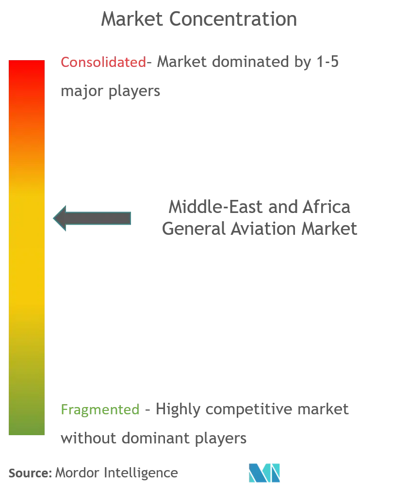 middle east and africa general aviation market concentration.png