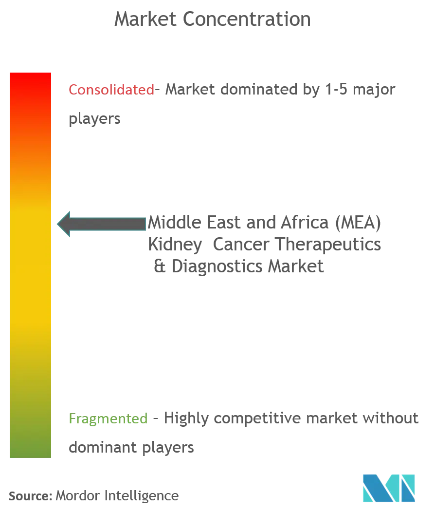 Middle East and Africa (MEA) Kidney Cancer Therapeutics & Diagnostics Market.png