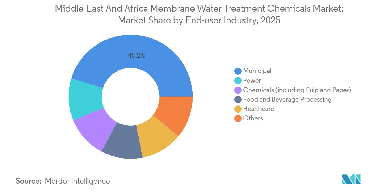 Middle-East And Africa Membrane Water Treatment Chemicals Market: Market Share by End-user Industry, 2025