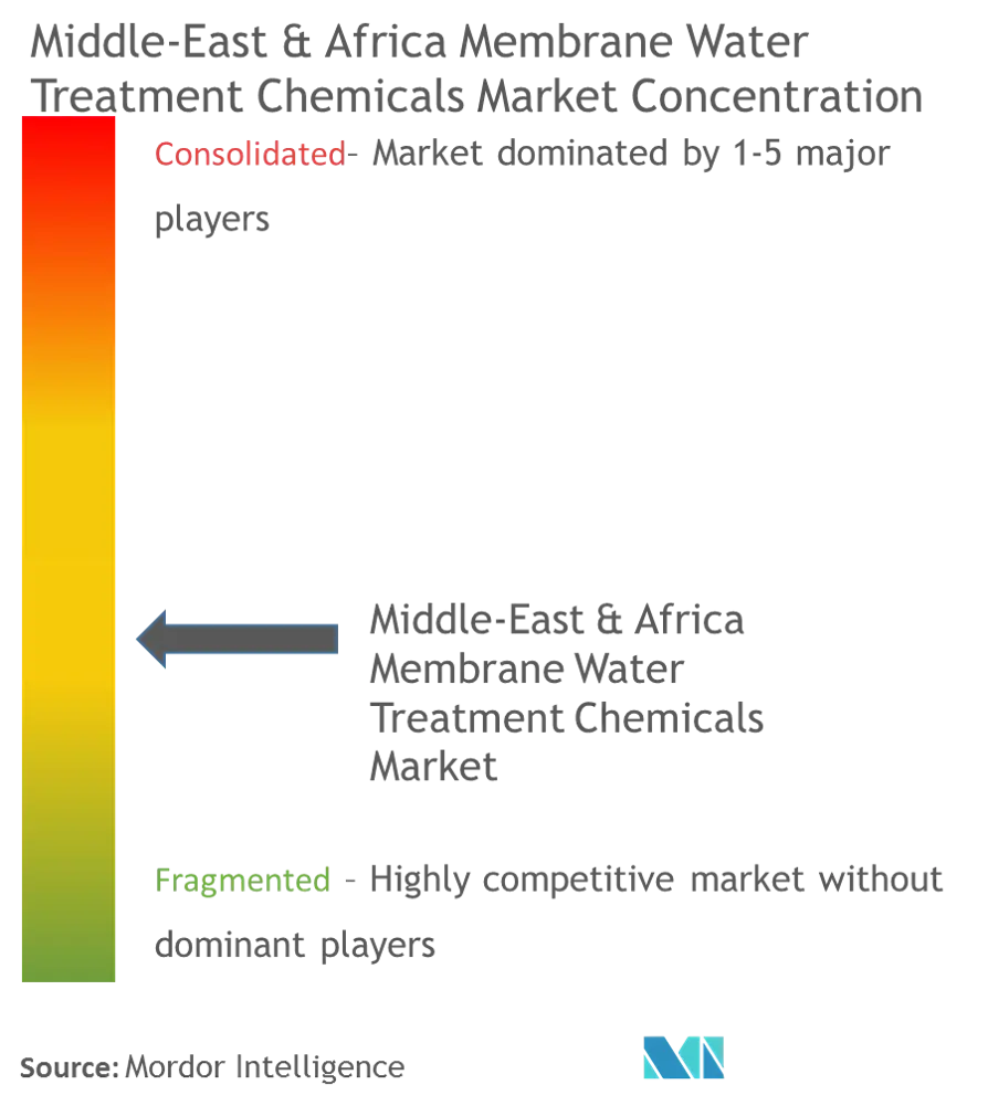 Middle East & Africa Membrane Water Treatment Chemicals Market - Market Concentration.PNG