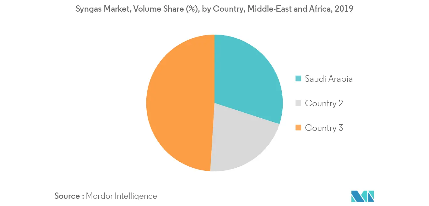 Middle East & Africa Syngas Market Trends