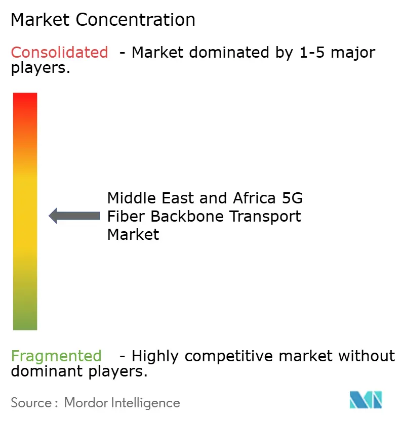 Middle East and Africa 5G Fiber Backbone Transport Market Concentration