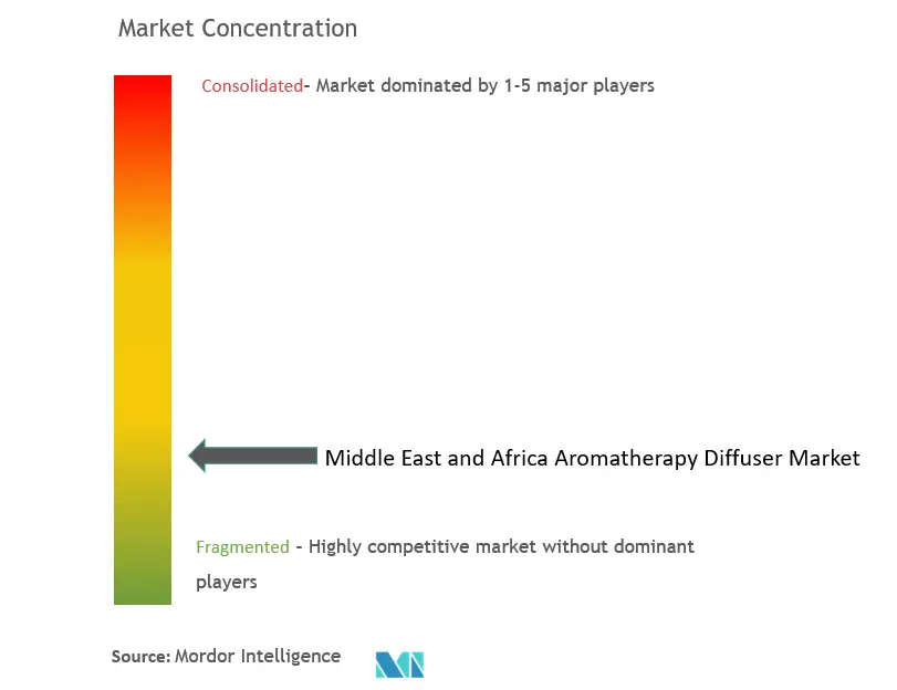 Middle East and Africa Aromatherapy Diffuser Market Concentration