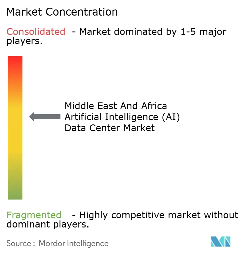 Middle East And Africa Artificial Intelligence (AI) Optimised Data Center Market Concentration