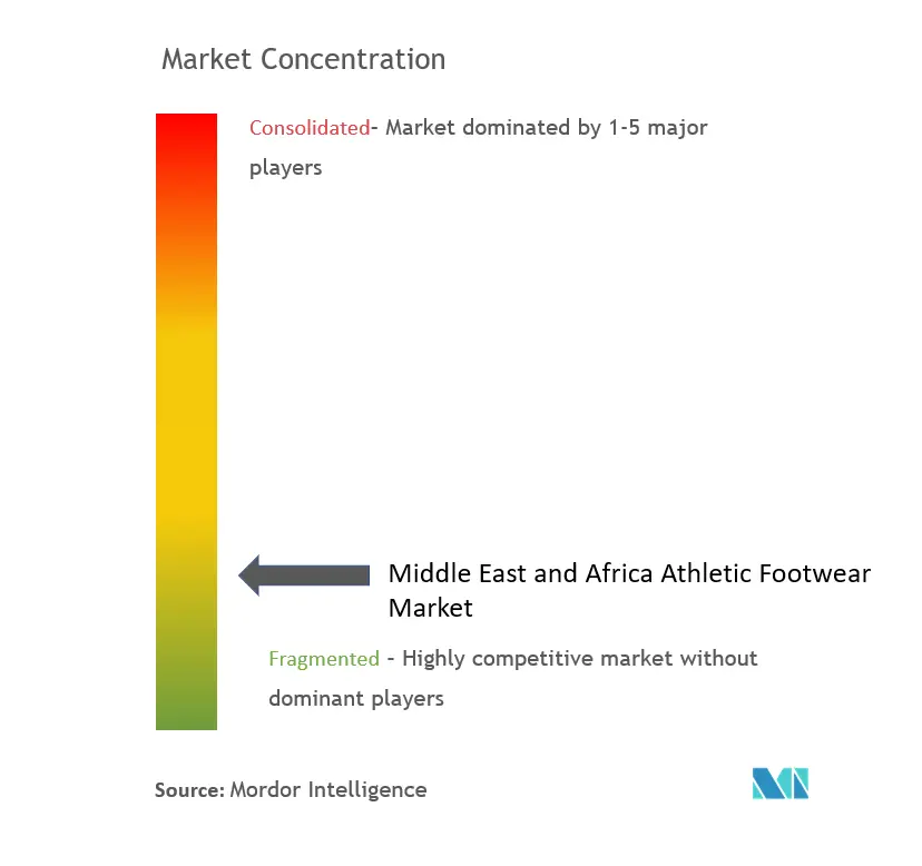 Middle East and Africa Athletic Footwear Market Concentration