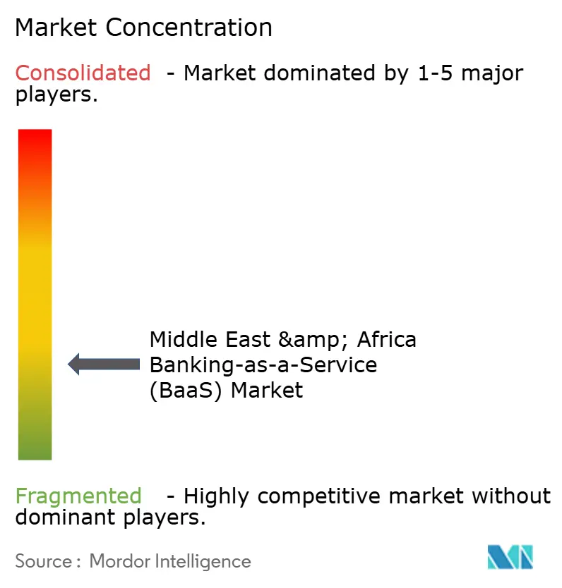 Middle-East and Africa Banking-As-A-Service Market Concentration