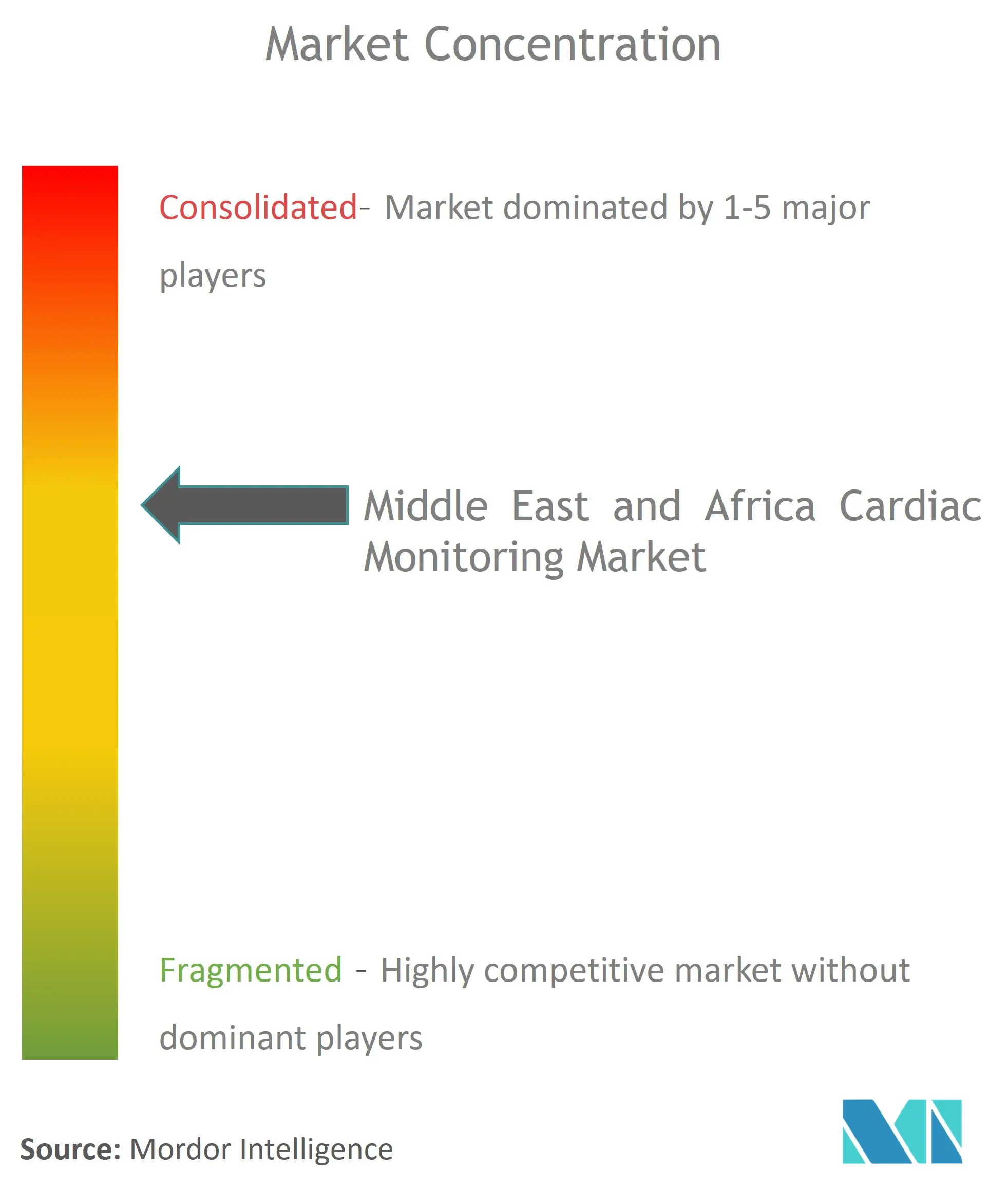 中東とアフリカの心臓モニタリング市場集中度