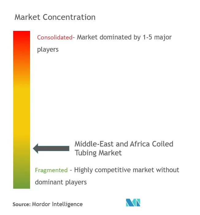 Middle East and Africa Coiled Tubing Market Concentration