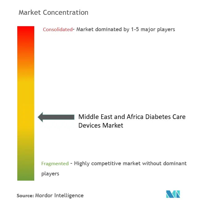 中東・アフリカ糖尿病治療機器市場の集中度