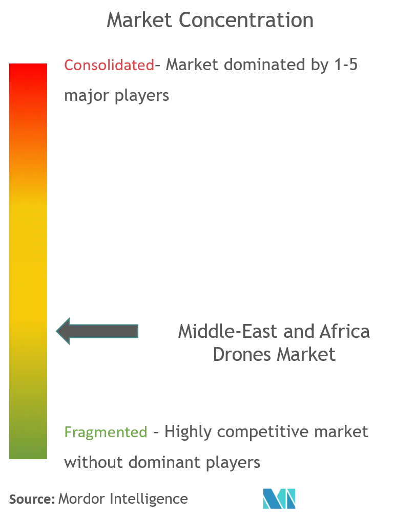 Oriente Medio y África Drones Market_competitive paisaje.png