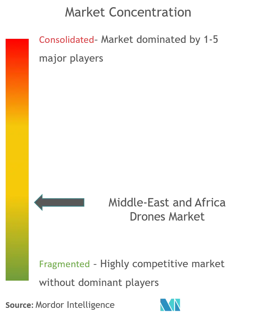 سوق الطائرات بدون طيار في الشرق الأوسط وأفريقيا_competitive Landscape.png