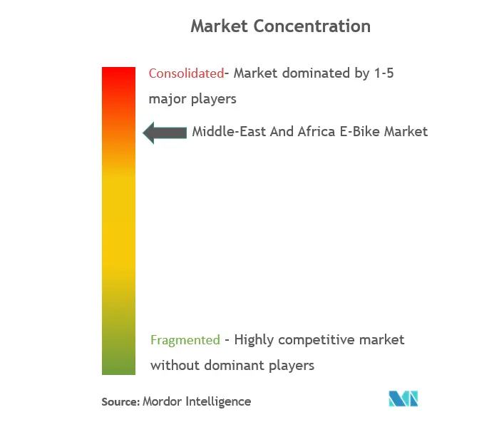 Middle-East and Africa E-Bike Market Concentration