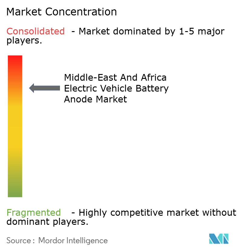 Middle-East And Africa Electric Vehicle Battery Anode Market Concentration