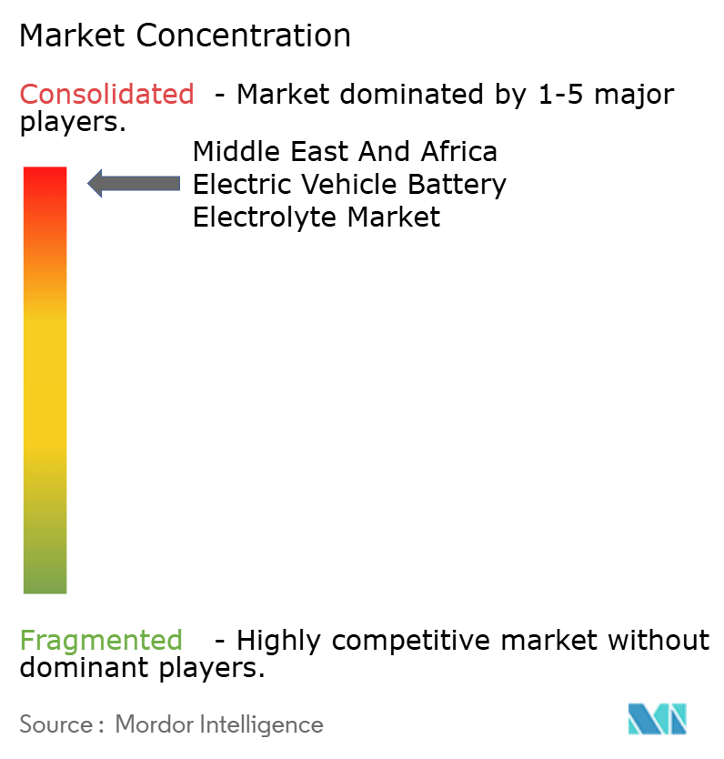Middle East and Africa Electric Vehicle Battery Electrolyte Market Concentration