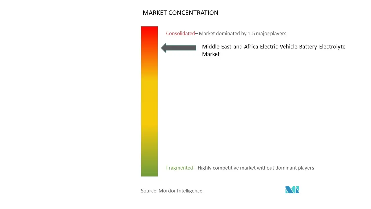 Major players in Middle East and Africa Electric Vehicle Battery Electrolyte industry