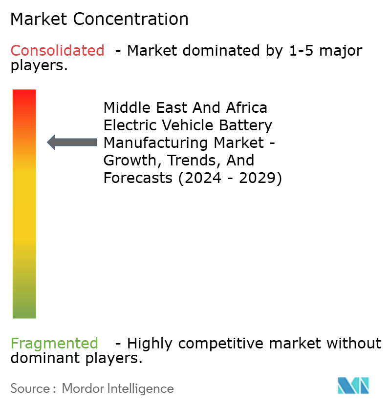 Middle East And Africa Electric Vehicle Battery Manufacturing Market Concentration