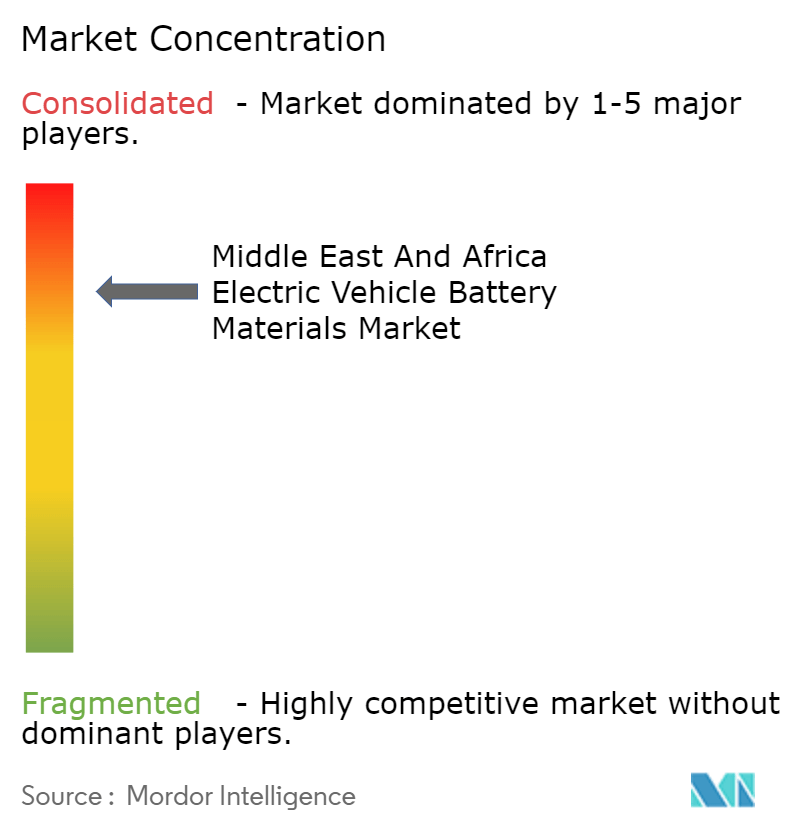 Concentración del Mercado de Materiales para Baterías de Vehículos Eléctricos de Oriente Medio y África