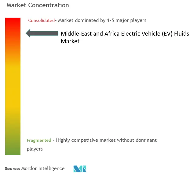 中東・アフリカ電気自動車（EV）用フルイド市場集中度