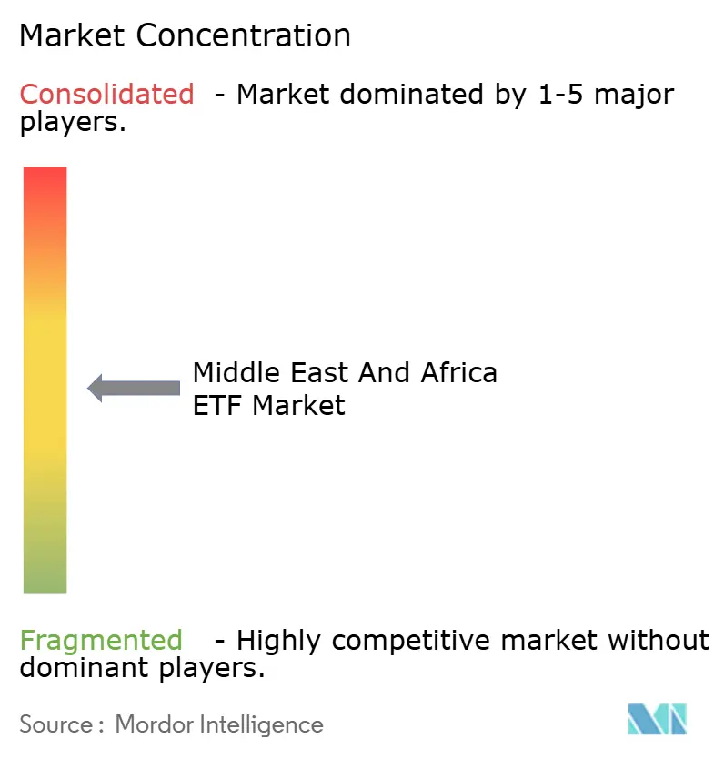 Middle East And Africa ETF Market Concentration