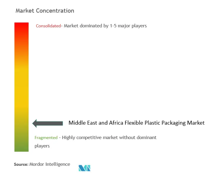 Middle East And Africa Flexible Plastic Packaging Market Concentration