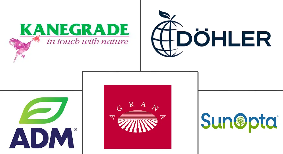 Major players in Middle East And Africa Fruit And Vegetable Ingredients industry