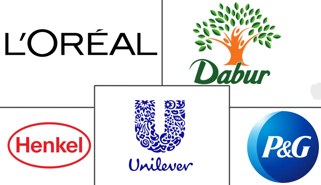 Major players in Middle East And Africa Hair Care industry