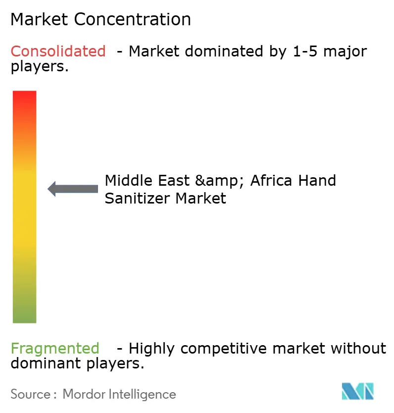 Middle East and Africa Hand Sanitizer Market Concentration