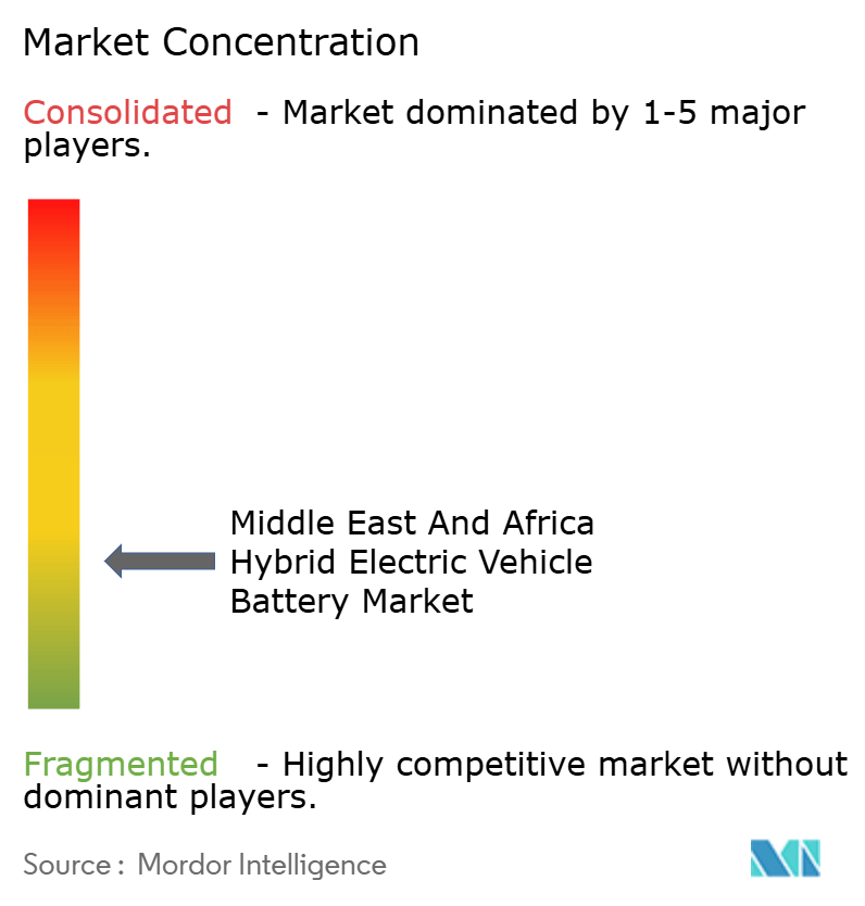 Middle East And Africa Hybrid Electric Vehicle Battery Market Concentration