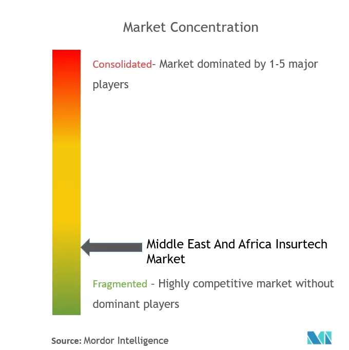 Middle East And Africa Insurtech Market Concentration