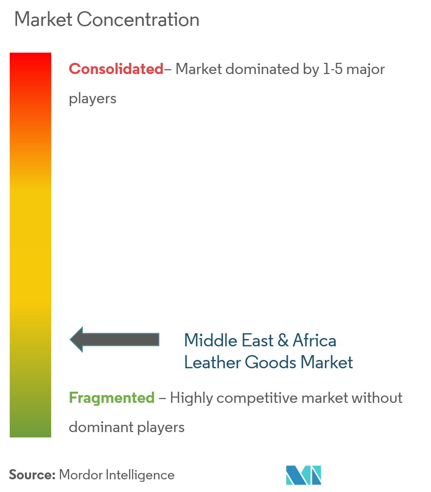 Middle East Luxury Leather Goods Market Scope, Industry Trends