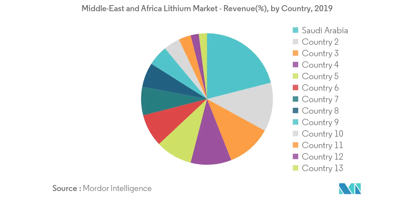 Middle-East and Africa Lithium Market, Revenue Share