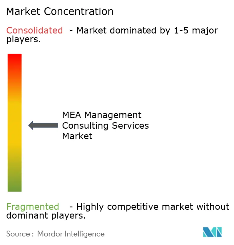 MEA Management Consulting Services