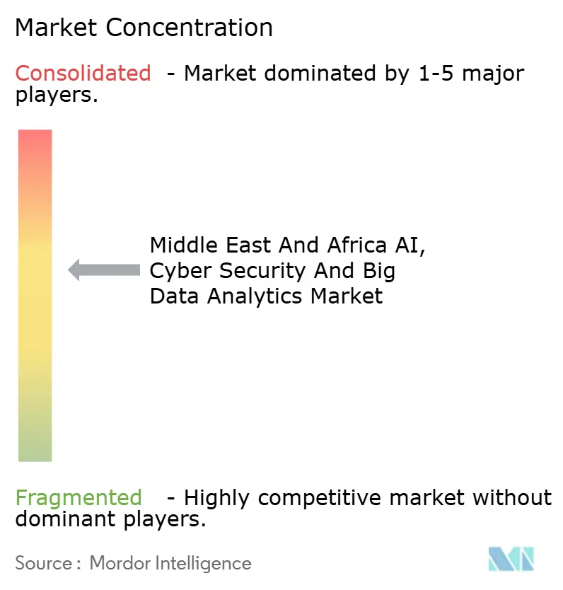 Middle East and Africa AI, Cyber Security and Big Data Analytics Market Concentration