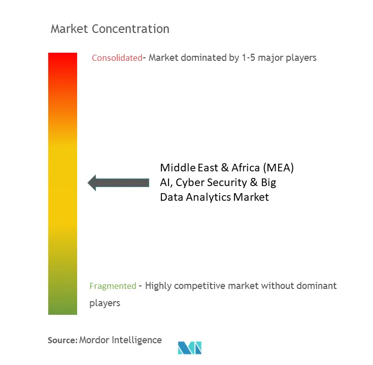 Middle East & Africa AI, Cyber Security & Big Data Analytics Market Concentration