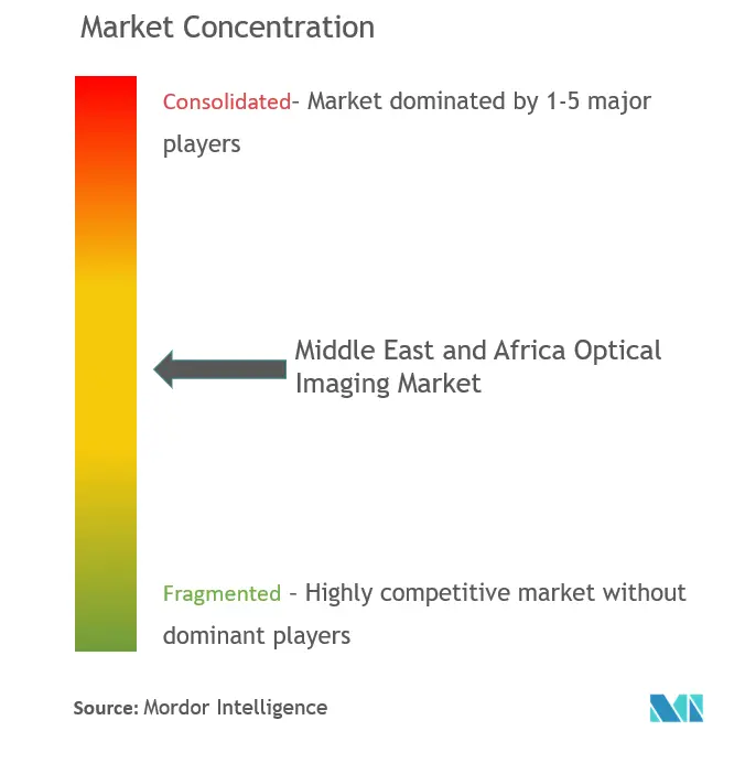 Mercado de imágenes ópticas de Oriente Medio y África