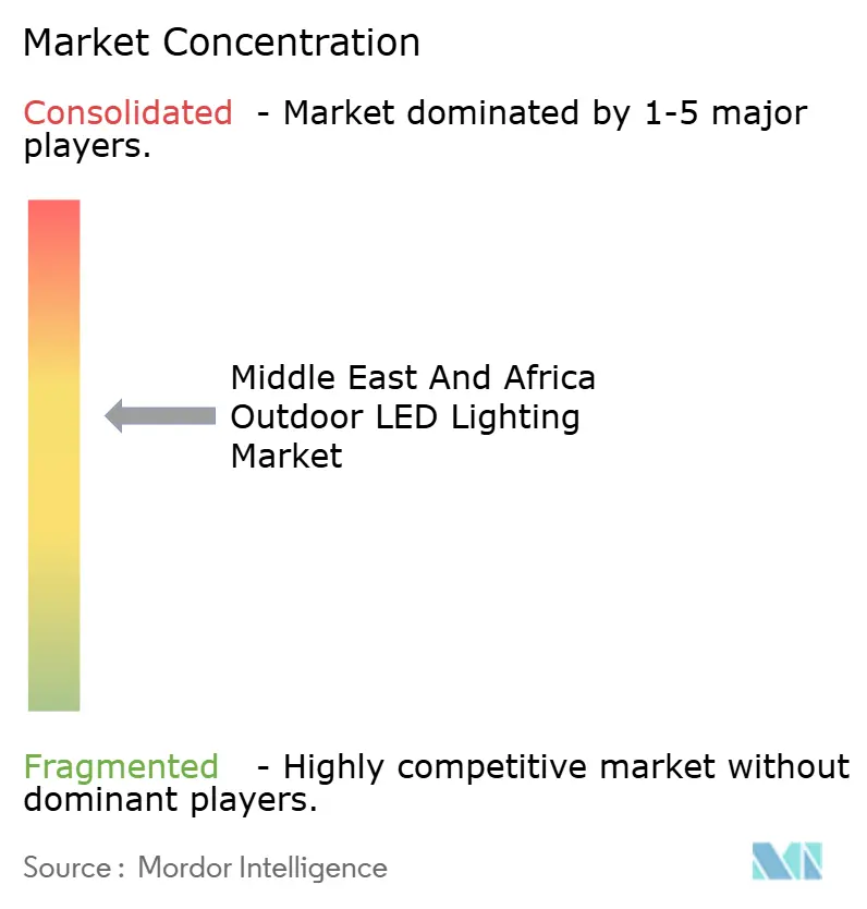 Middle East and Africa Outdoor LED Lighting Market Concentration