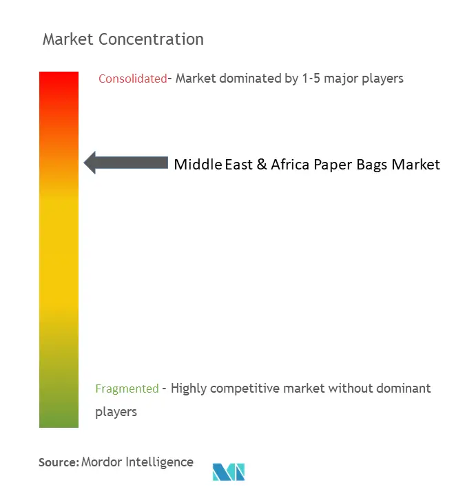 Middle East & Africa Paper Bags Market Concentration