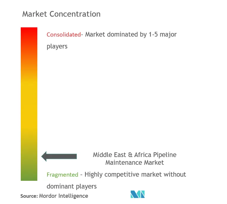 MEA Pipeline Maintenance Market Concentration