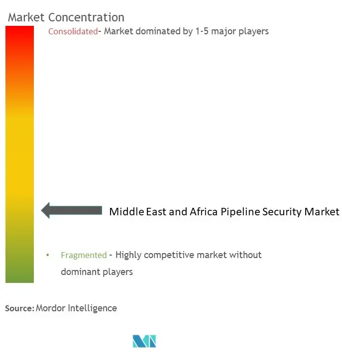 Concentración del mercado de seguridad de tuberías de MEA
