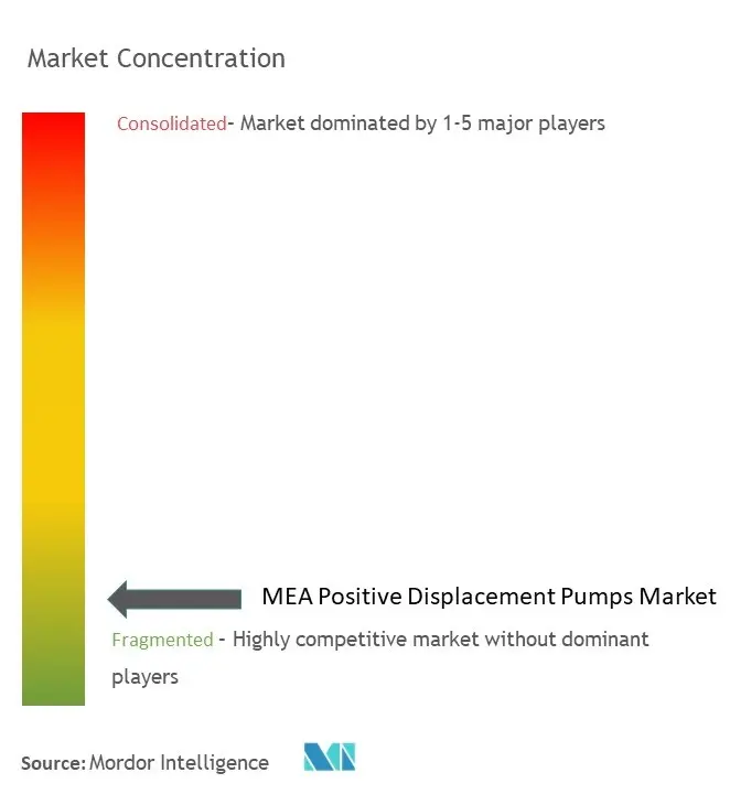 MEA Positive Displacement Pumps Market Concentration