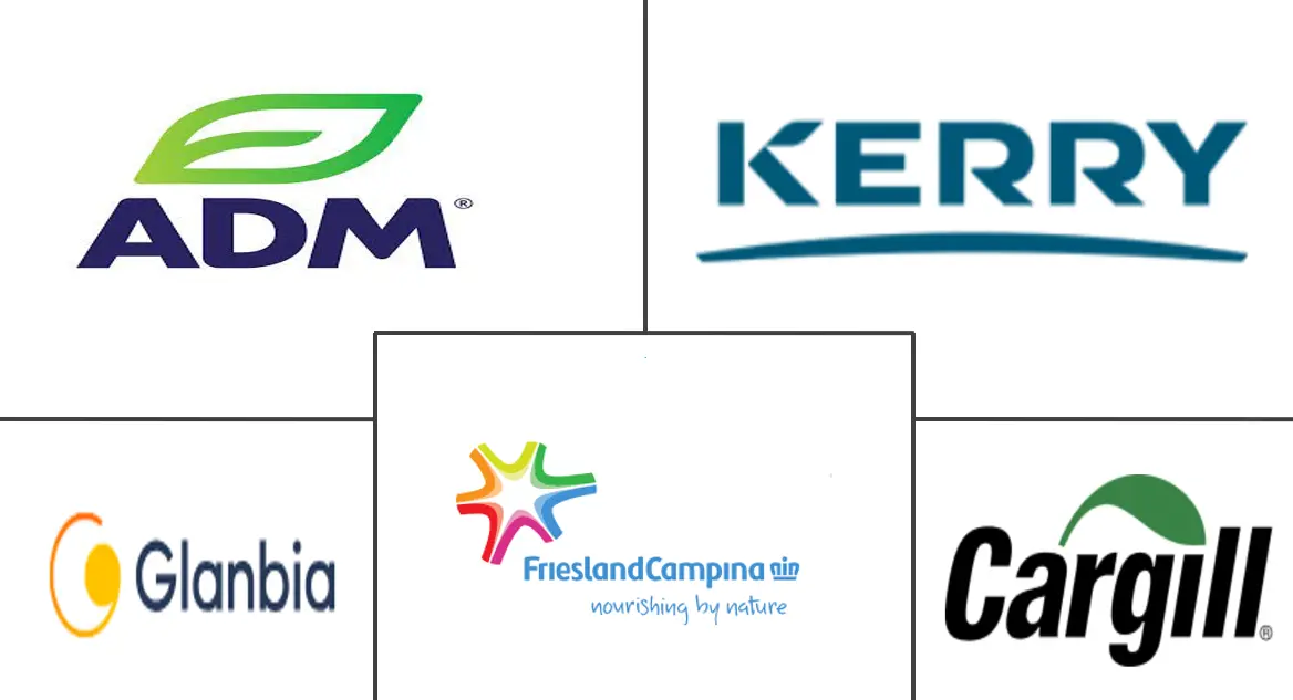 Major players in Middle East And Africa Protein industry