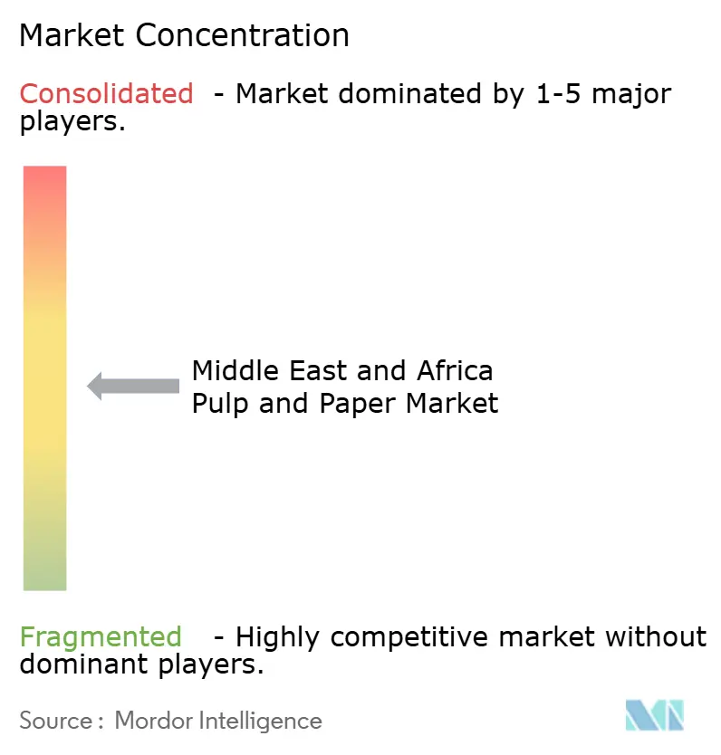 Middle East and Africa Pulp and Paper Market Concentration